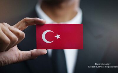 چگونه در ترکیه ثبت شرکت انجام دهیم؟
