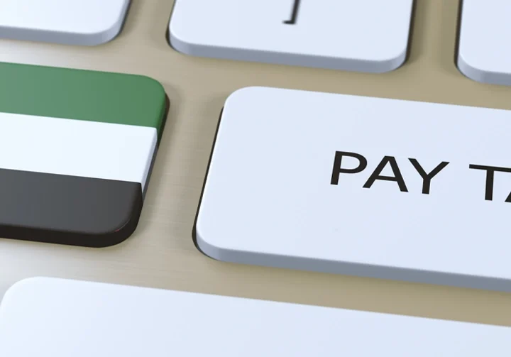نحوه دریافت کد مالیاتی (TRN) در دبی و امارات