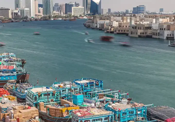 انواع مجوز فعالیت کسب‌وکار در دبی