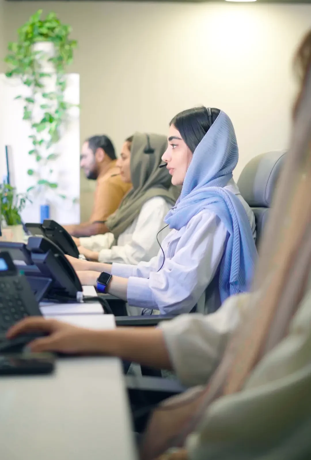 پالیزکمپانی