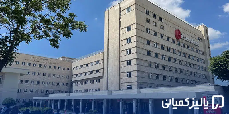 بهترین دانشگاه های دولتی ترکیه؛ رتبه، شهریه و پذیرش بهترین دانشگاه های دولتی ترکیه؛ رتبه، شهریه و پذیرش