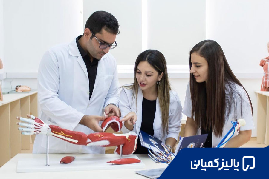 فیزیوتراپی در ترکیه؛ دانشگاه‌ها، شهریه و شرایط پذیرش