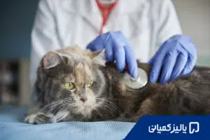 تحصیل دامپزشکی در ارمنستان؛ دانشگاه، شهریه و شرایط پذیرش